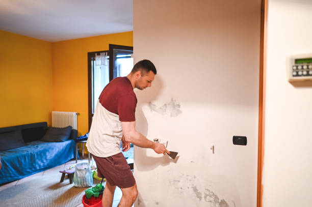 Best Crawl Space Mold Remediation in Allen, TX